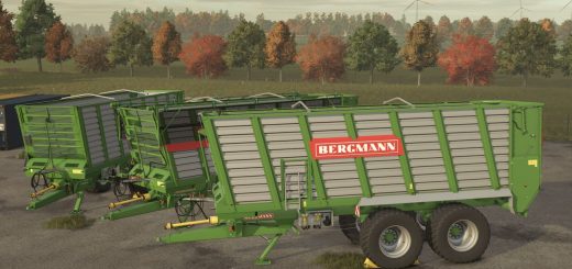 Bergmann HTW 45 V1.1