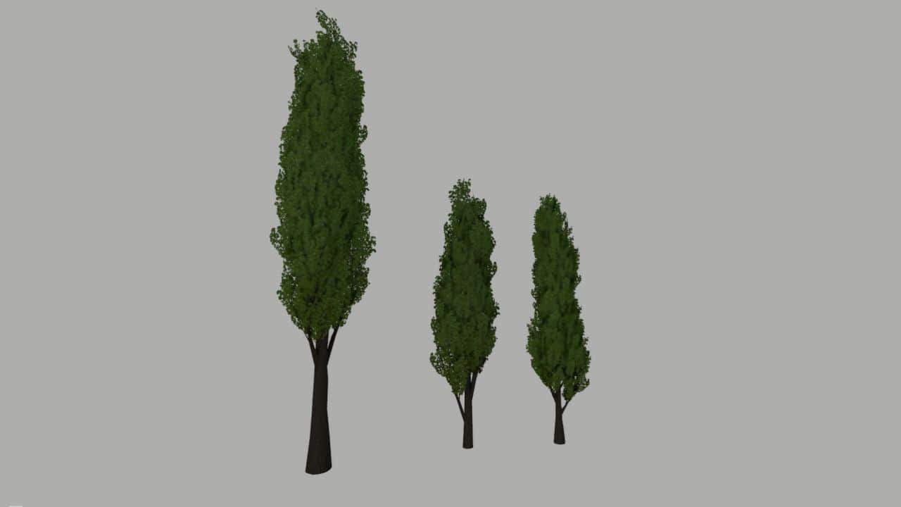 Poplar Trees Pack V1.0