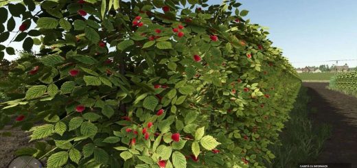 Zielonka Real Orchards Multifruit Beta 2 v1.0