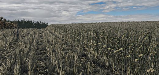 Corn Texture New Gen 2 V1.0