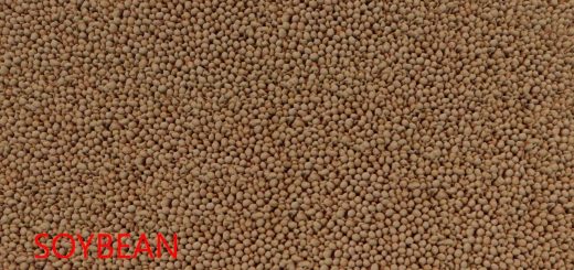 FillPlane textures pack v1.0