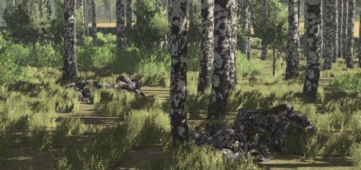 Pinewood Forest V2.1