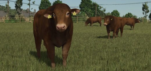 Animal Package Vanilla Edition V1.0.2.1