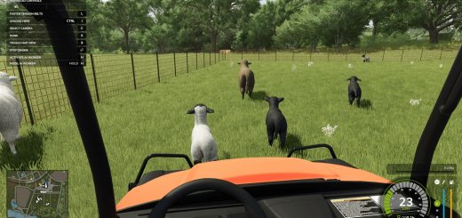 Animal Herding Lite V1.1
