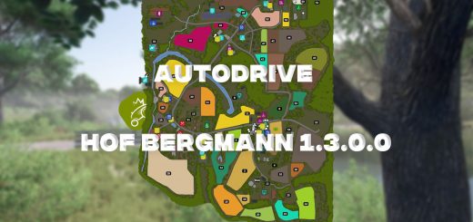 Autodrive Hof Bergmann 1.3