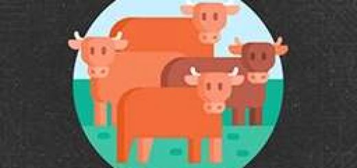 Hof Bergmann Visual Animal Fix v1.0