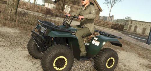 Lizard Big Bear V1.0