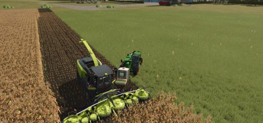 Lizard Silage Additve V1.1