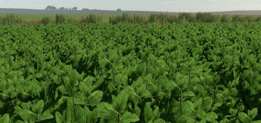 Mint Foliage v1.0