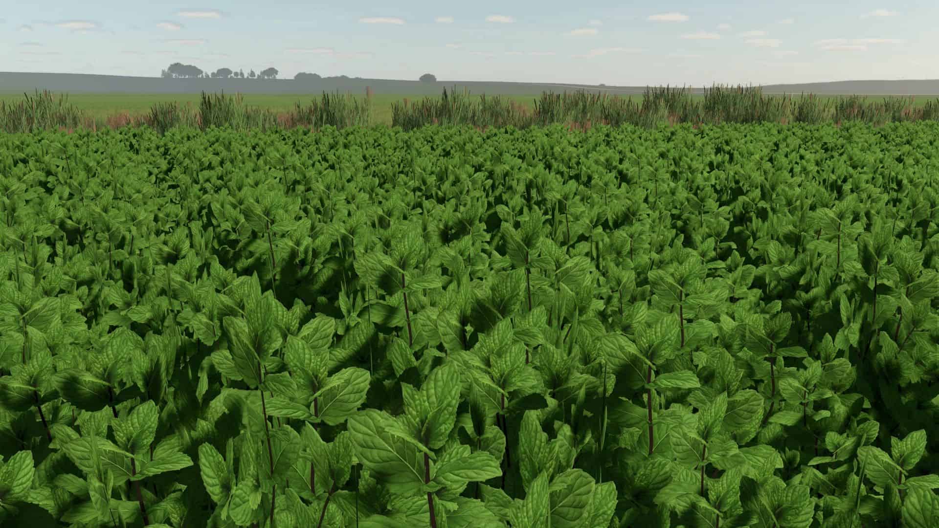 Mint Foliage v1.0