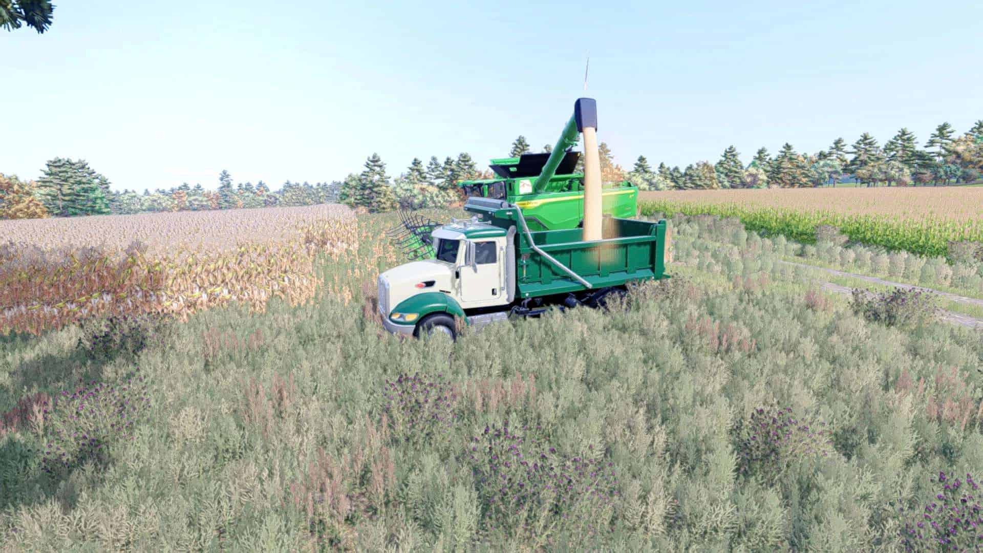 Peterbilt DOH 340 DUMP v1.0