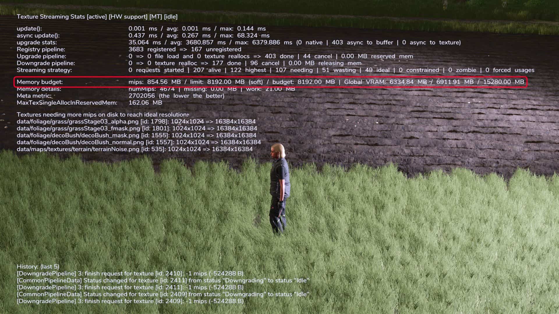 Texture Streaming Budget 200% (8GB) v1.0