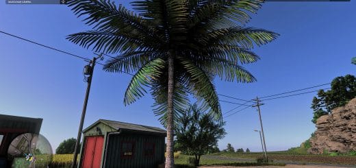 Coconut tree v1.0