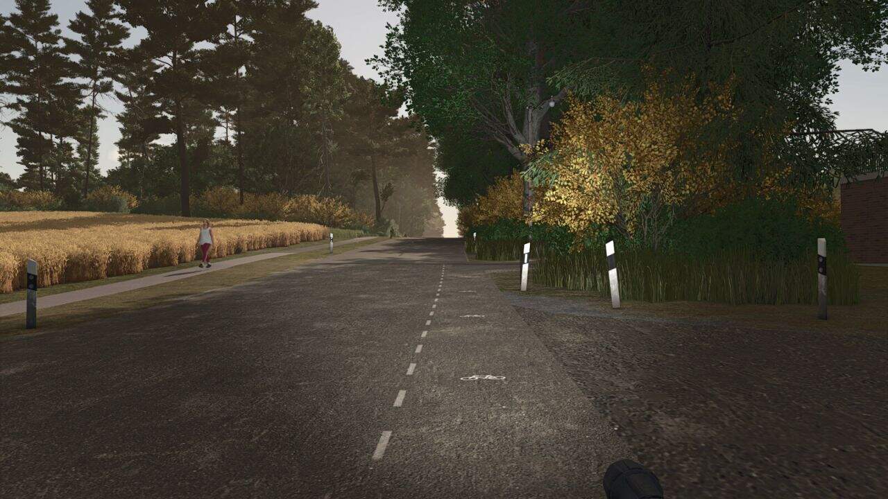 German Road Poles v1.1