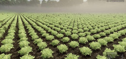 Okra and Edamame v1.0