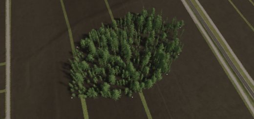 Tree Generator V1.2
