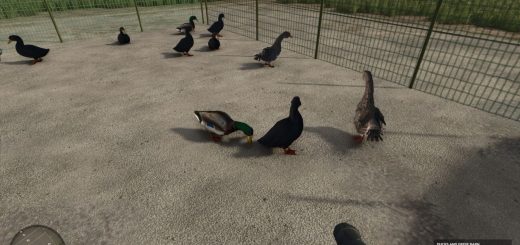 Zielonka Real Orchards – Multifruit v1.3