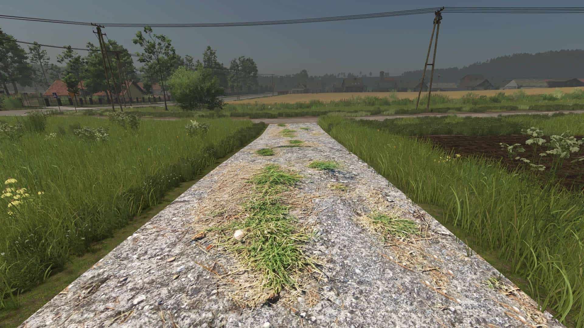 Asphalt and Paved Roads V1.0