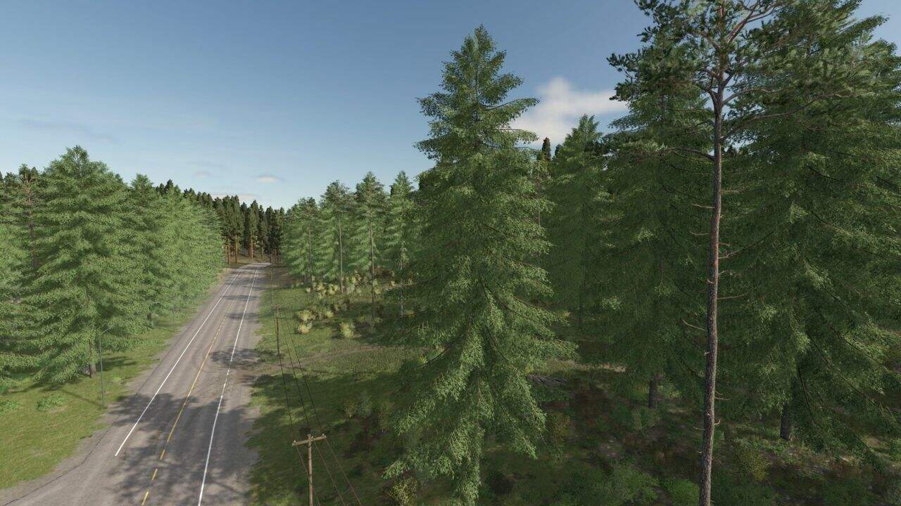Forester v1.0