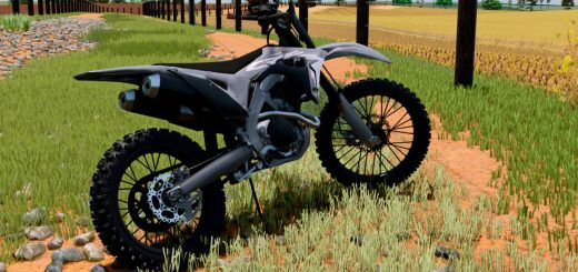 LIZARD CRF 450R v1.0