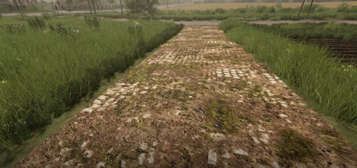 Mud and cobblestone Roads V1.0