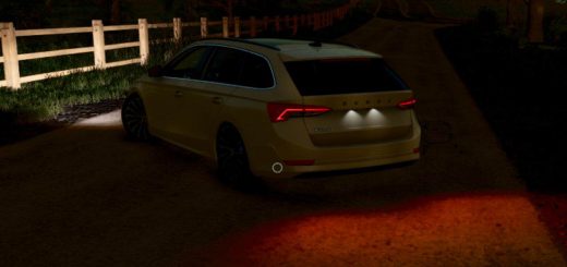 Skoda Octavia 2020 Tuning v1.0