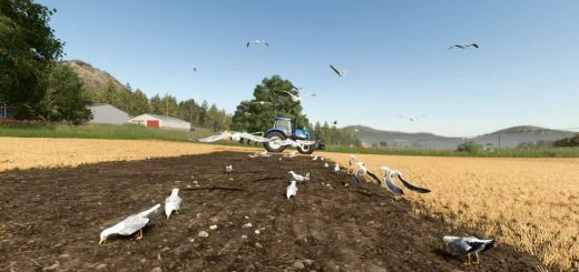 Field Gulls v1.0
