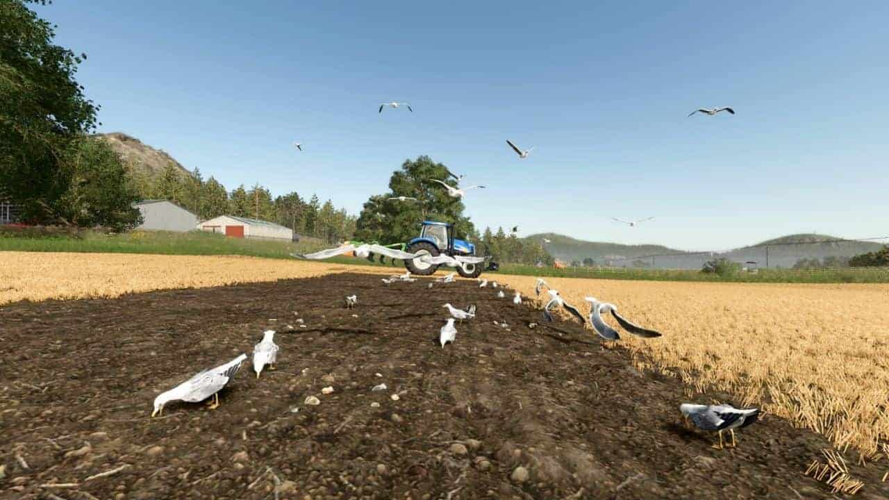 Field Gulls v1.0