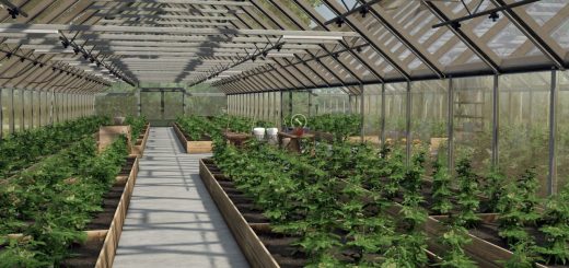 Large Glass Greenhouse Package v1.1