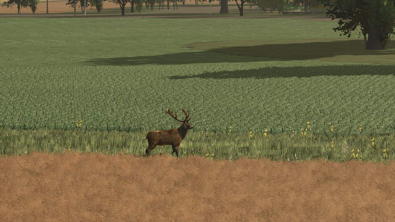 More Wild Animals v1.1