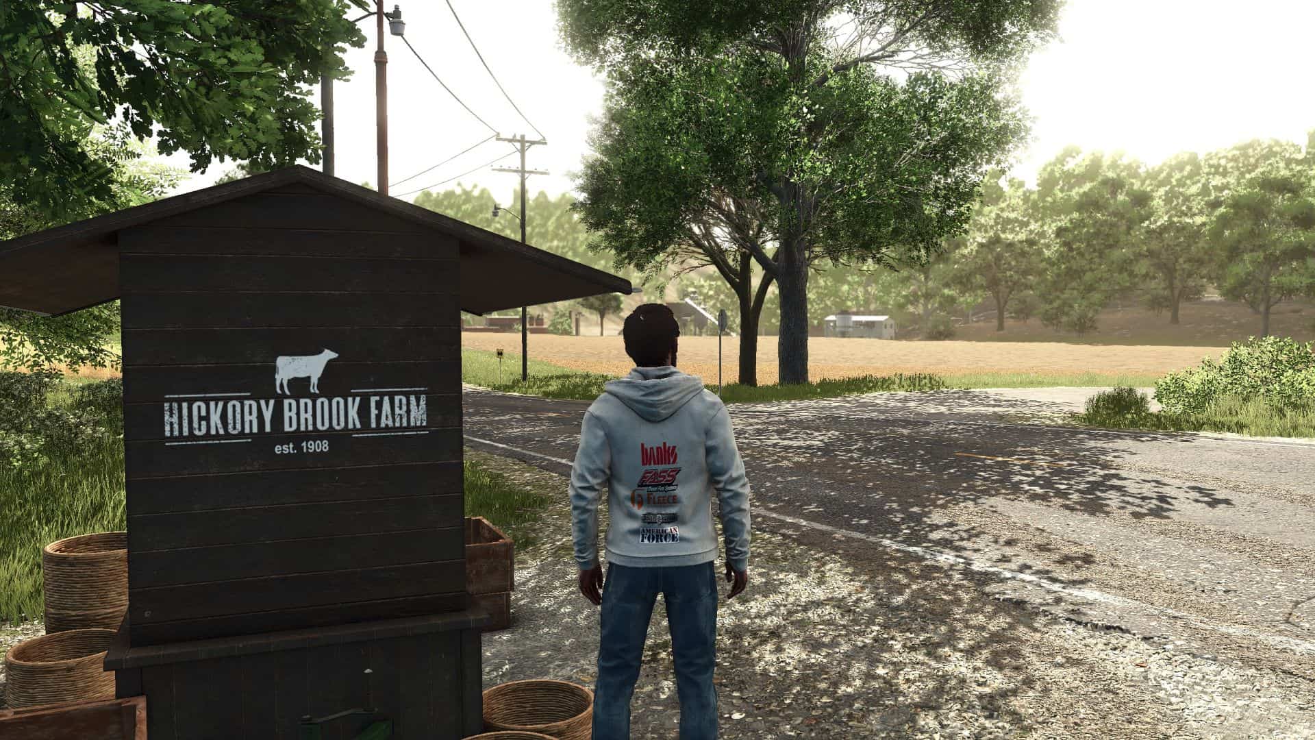 Performance brands Hoodie v1.0