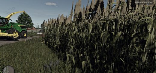 Silage Sorghum v1.0