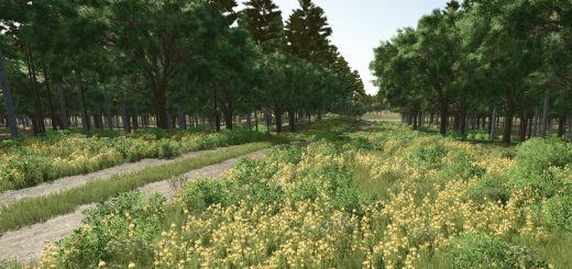 Starbuck, MN v1.2.4.0