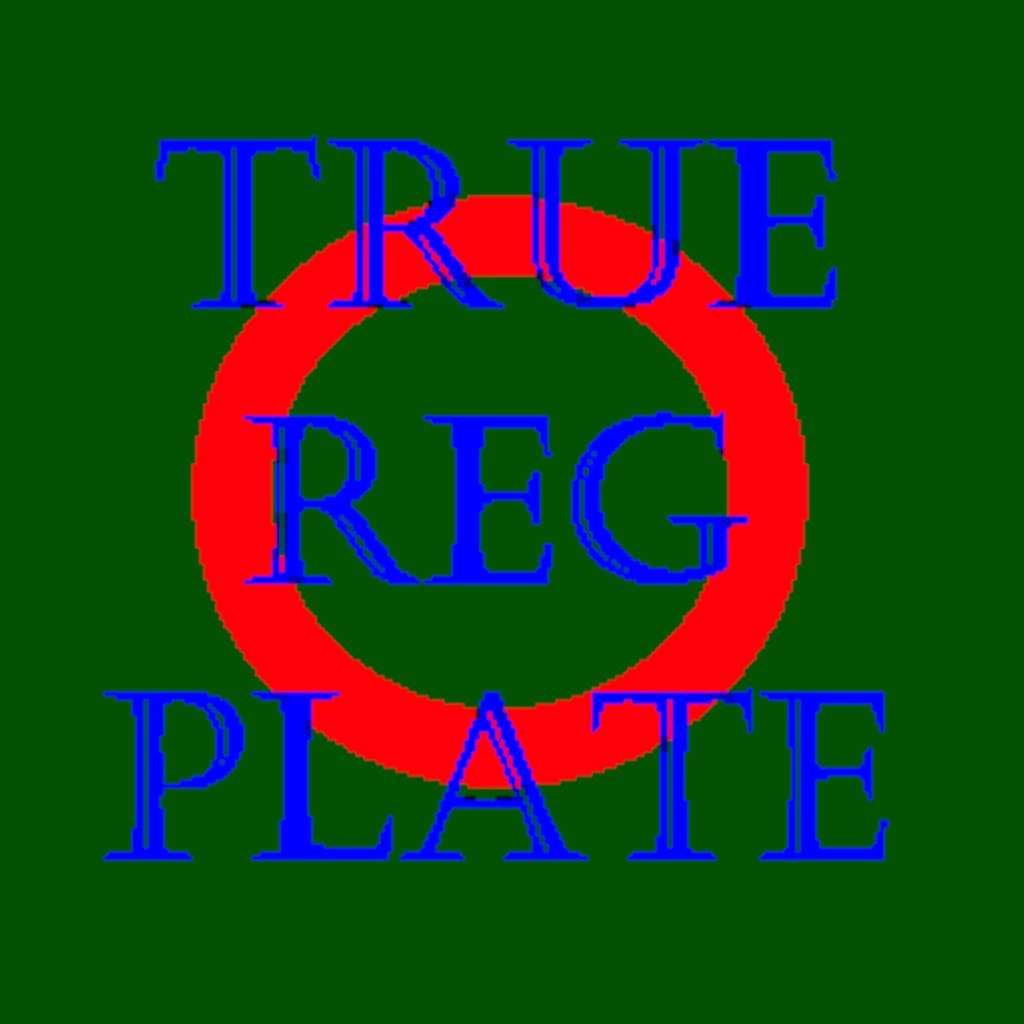 TrueRegPlate v1.0