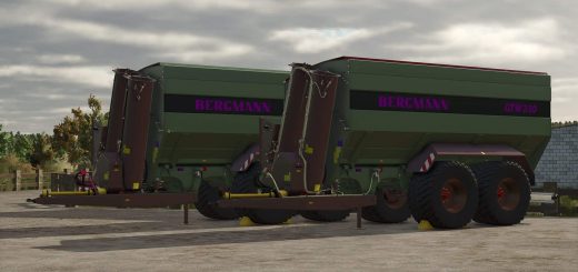 Bergmann GTW330 v1.0.0.1