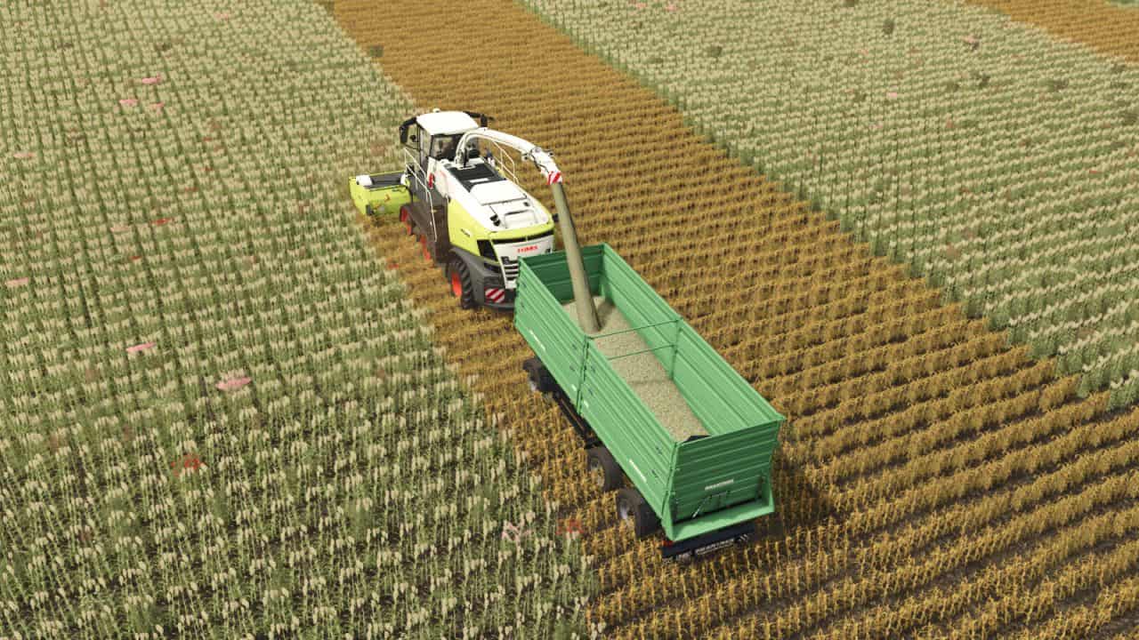 Additional-Contracts v1.0.0.6