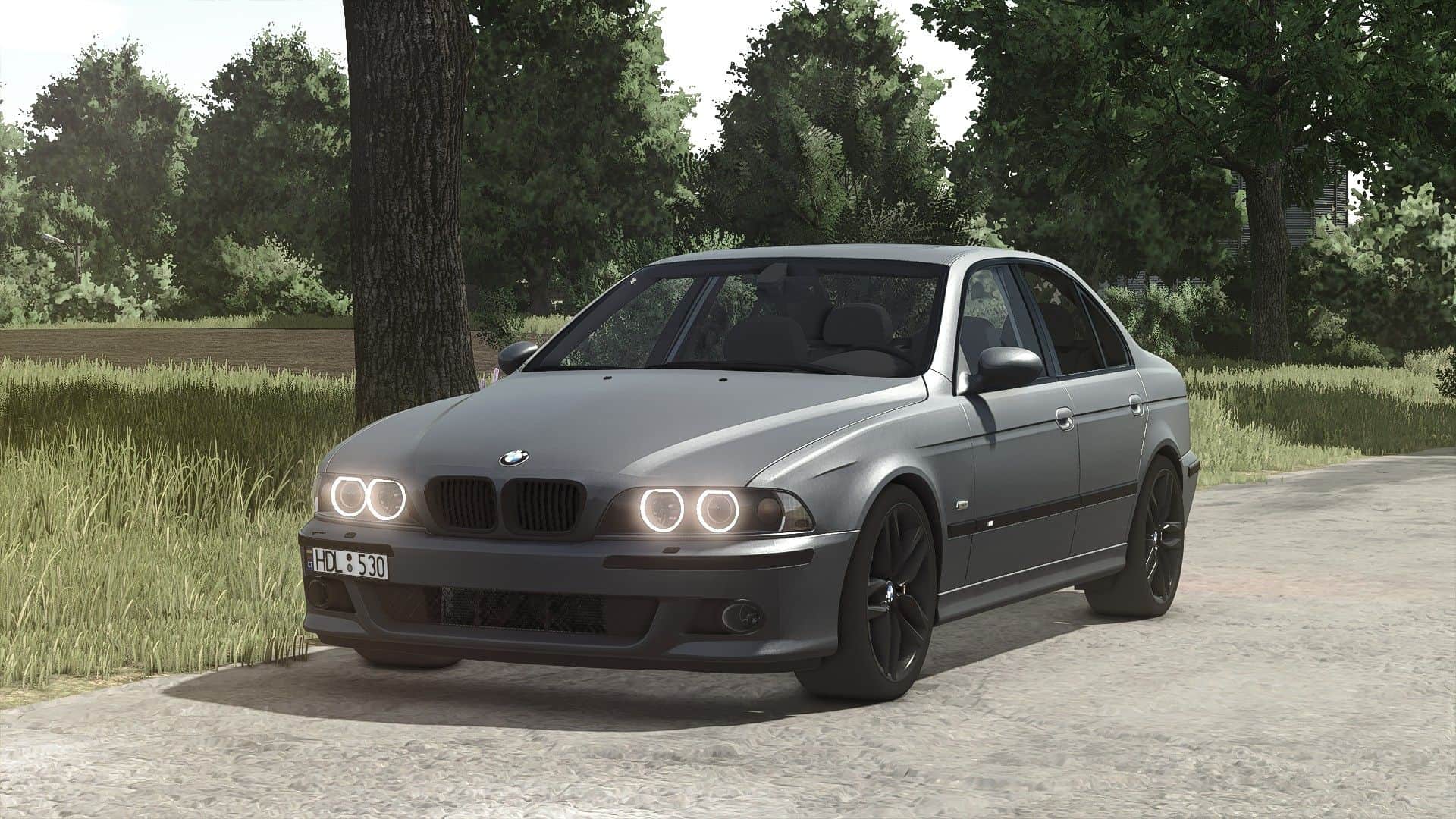 BMW E39 530D v1.5