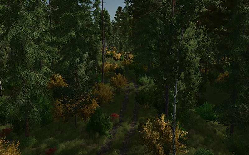 Back Roads County Forestry Edition 4x v1.0