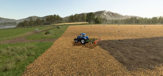 Field Gulls v1.0.0.1
