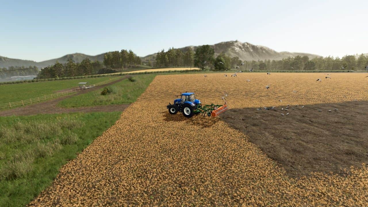 Field Gulls v1.0.0.1