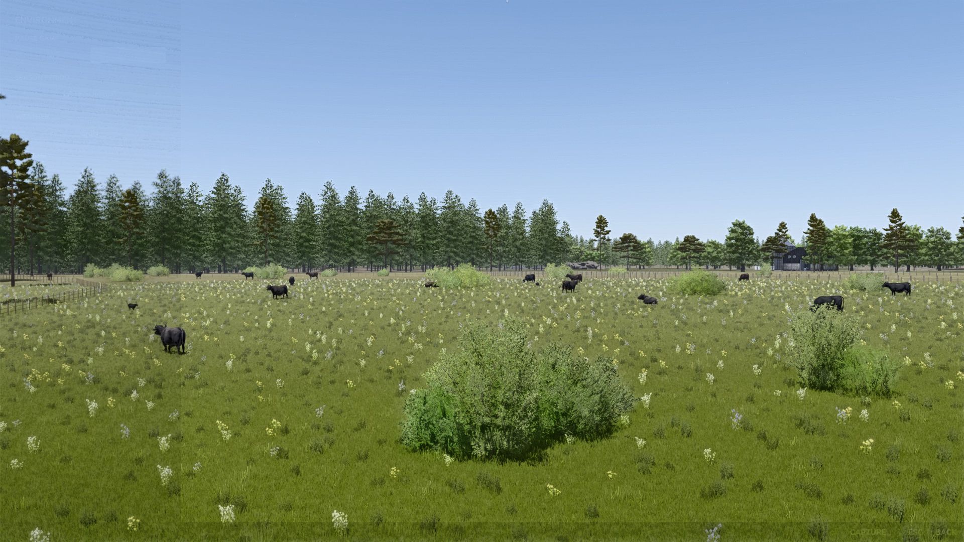 Ollianimal 16x v1.0.0.1