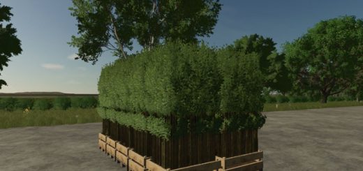 Pallet With Tree Seedlings v1.0