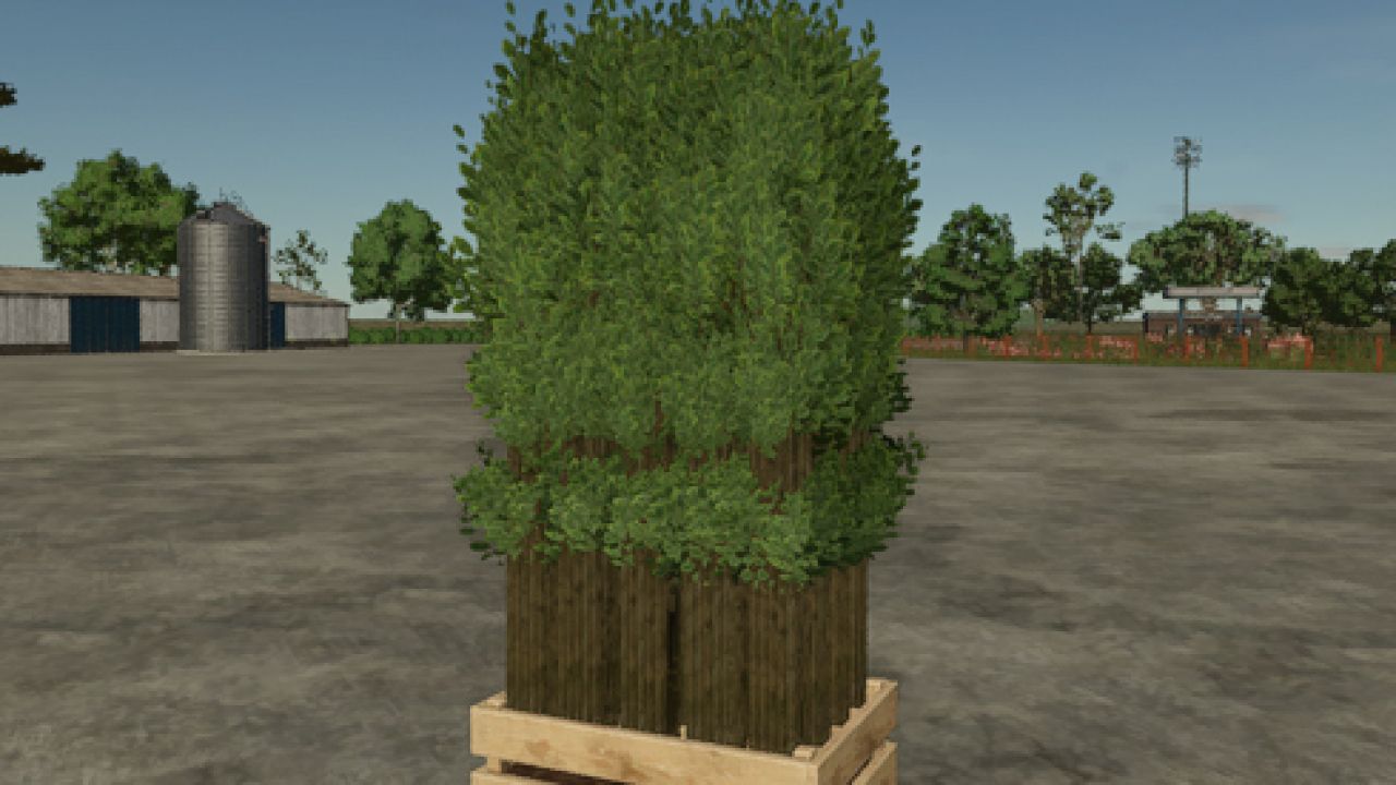 Pallet With Tree Seedlings v1.0