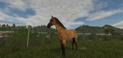 Stall Rental v1.0.0.1