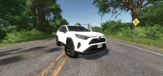 TOYOTA RAV4 2020 v1.0