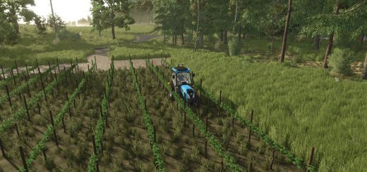 TerraFusion And Grape Olives Vines v1.0