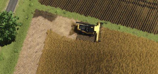 Texura de soja v1.0
