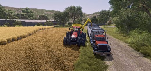Vence Tudo Granos 26000 v1.0