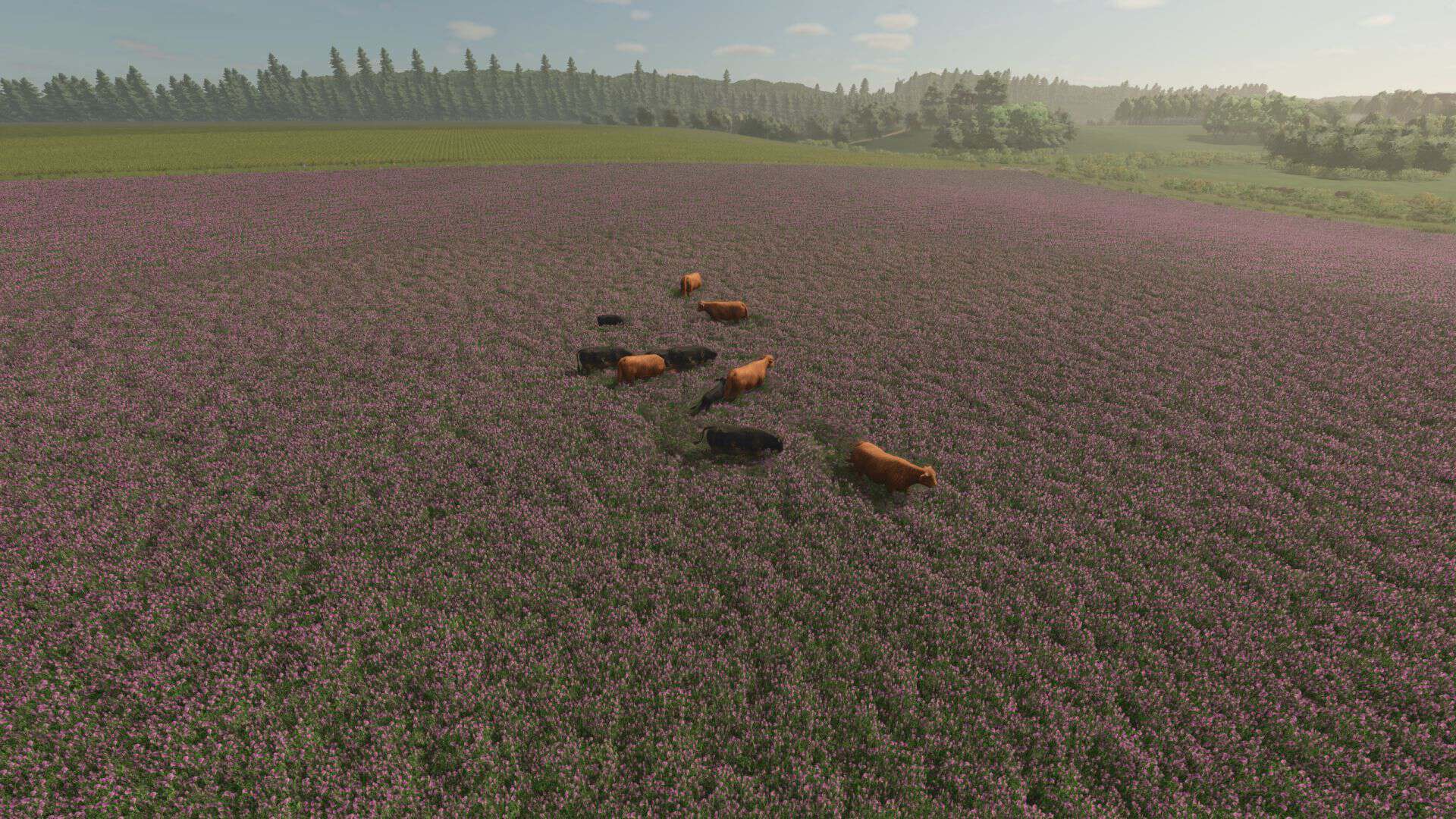 Animal Pests v1.0.1.0