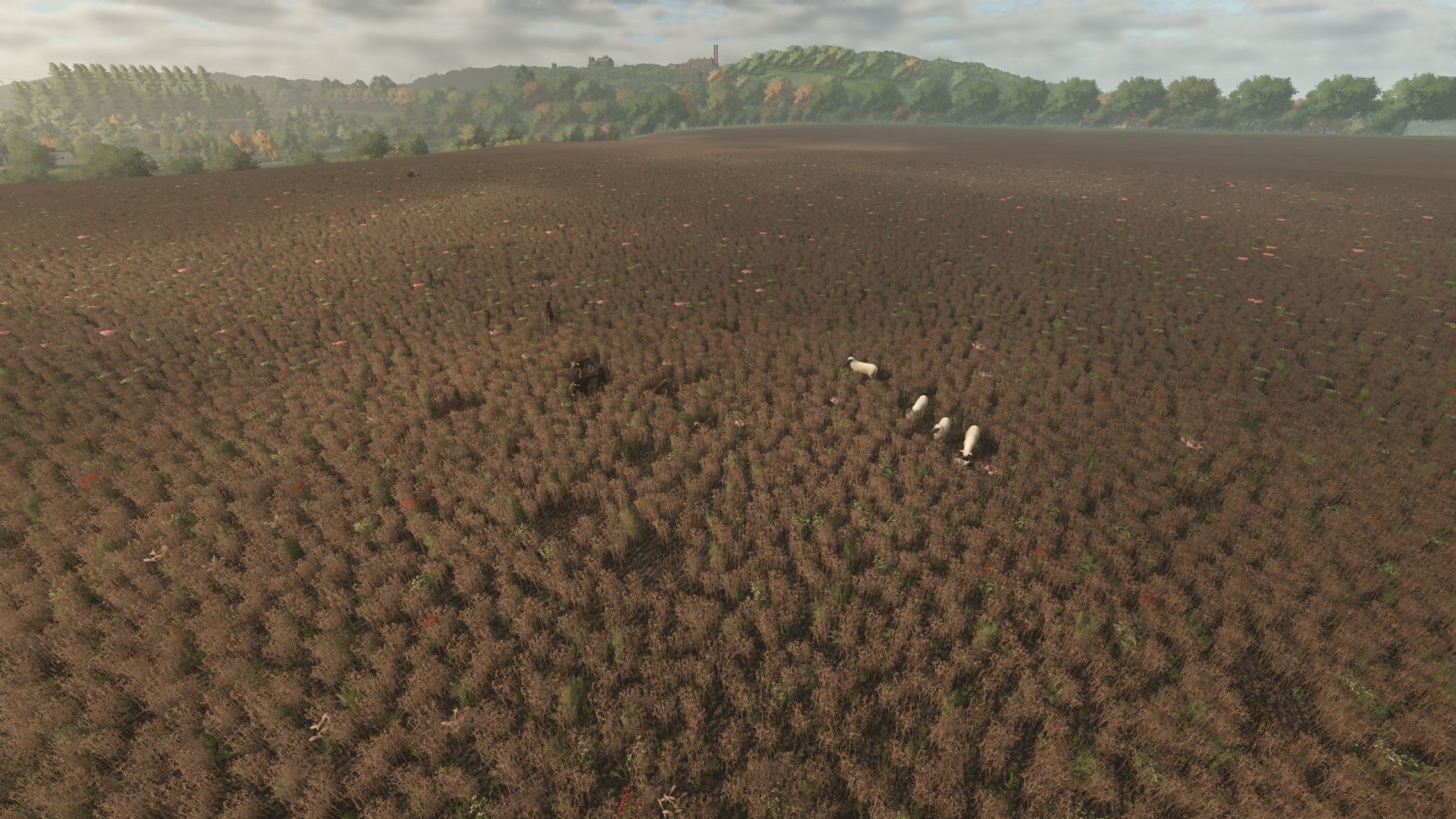 Animal Pests v1.0.2.0